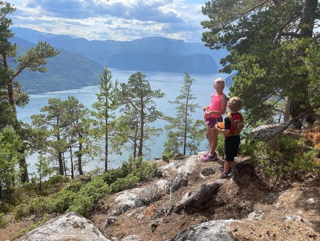 Nedre Amla Fjord Apartment Kaupanger Kültér fotó